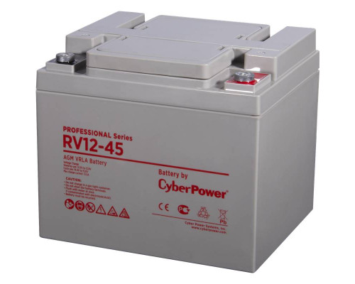 CyberPower Professional series RV 12-45 Аккумуляторная батарея